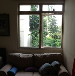 The Baycourt (D16), Condominium #608356131